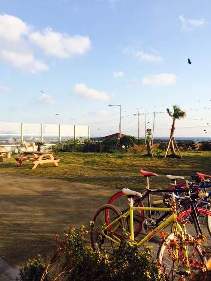 济州岛市区买买买攻略,济州岛必须做的100个事