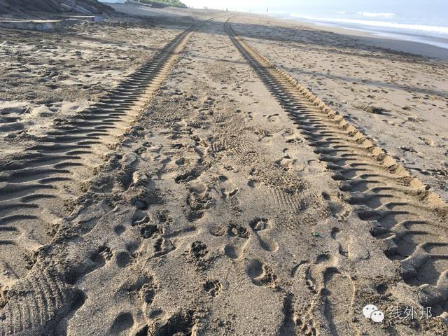 首次马拉松跑步感受,马拉松第二天跑步的感受