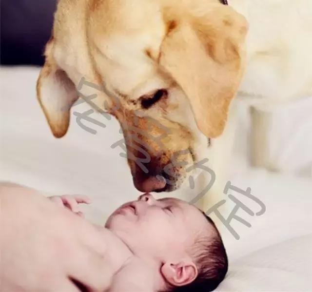 千万不要点开原声是什么梗,千万不要点开原声好吗