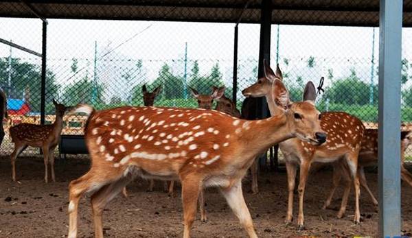 冬季暖心之旅，快来泡我吧！——京津冀21处泡温泉的好地方