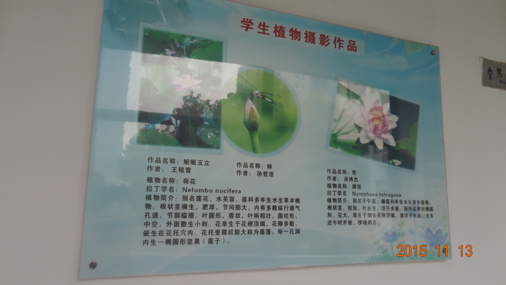 上海东昌中学东校和南校有啥区别,上海东昌南校特色