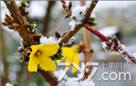 治疗便秘的中药方子大全,便秘喝中药有效果停了又便秘