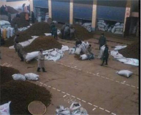 头条：黄连10日评，压货商增多稳中待商机！