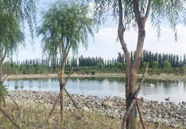 包头市新建体育公园,包头体育公园开始建了吗