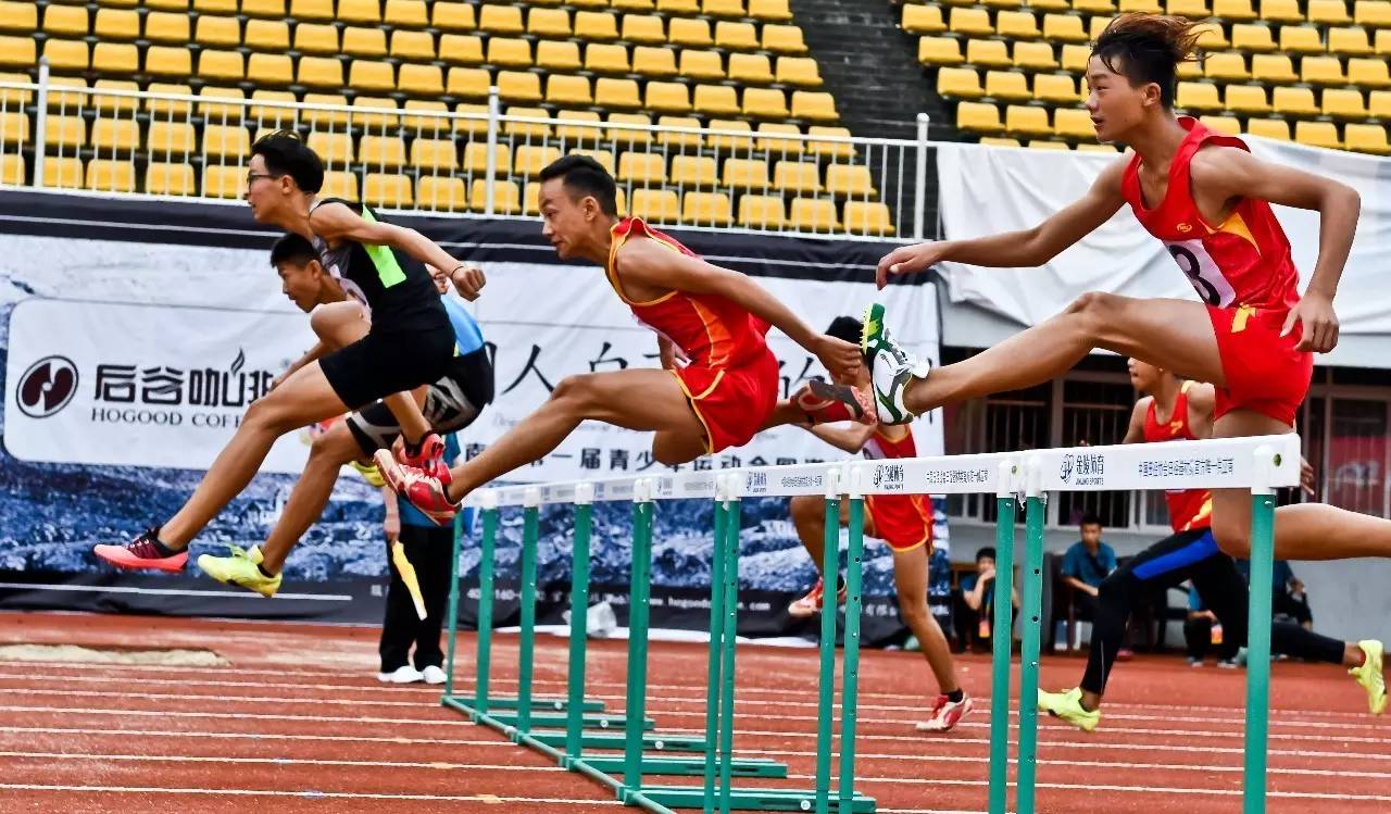 秘境寻踪视频,秘境寻踪高清完整版