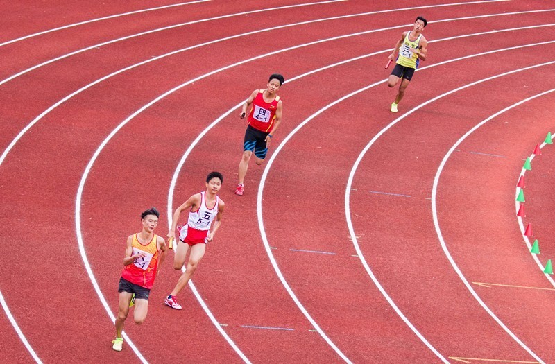 秘境寻踪视频,秘境寻踪高清完整版