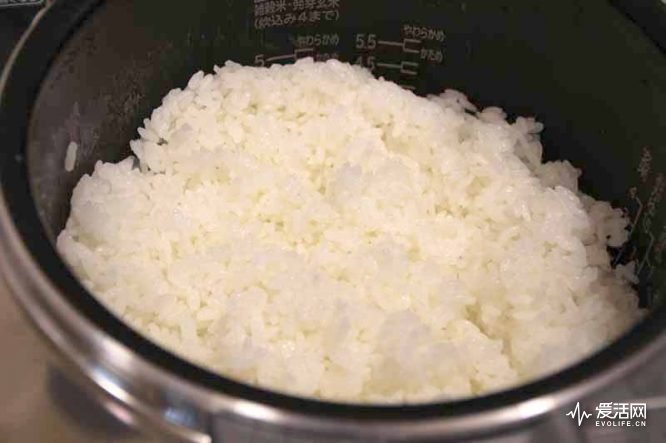 日本电饭煲排行榜第一名,日本电饭煲煮饭对比