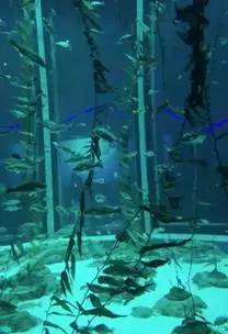 旅游景区收到游客投诉价格偏高,景区门票调价投诉