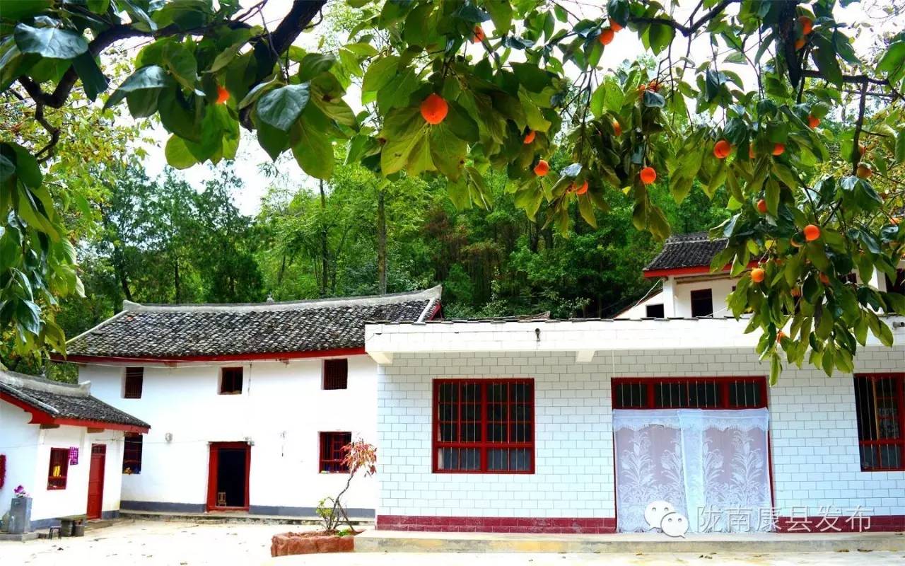 陇南康县杨湾村：团结桥上话幸福