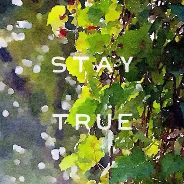 手机令人惊艳的app,令人惊艳的app