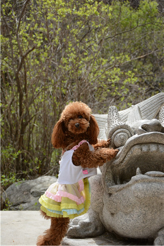 活动回顾｜欧帝亿主题巴士回顾--畅游幽谷神潭