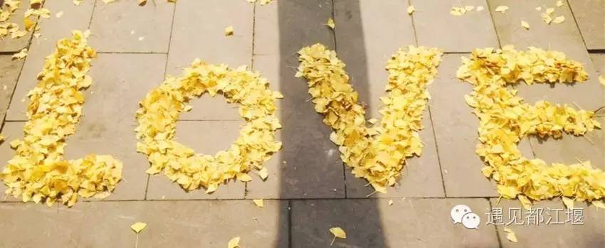 成都西部银杏第一村 (成都市周边哪里的银杏最多最美)