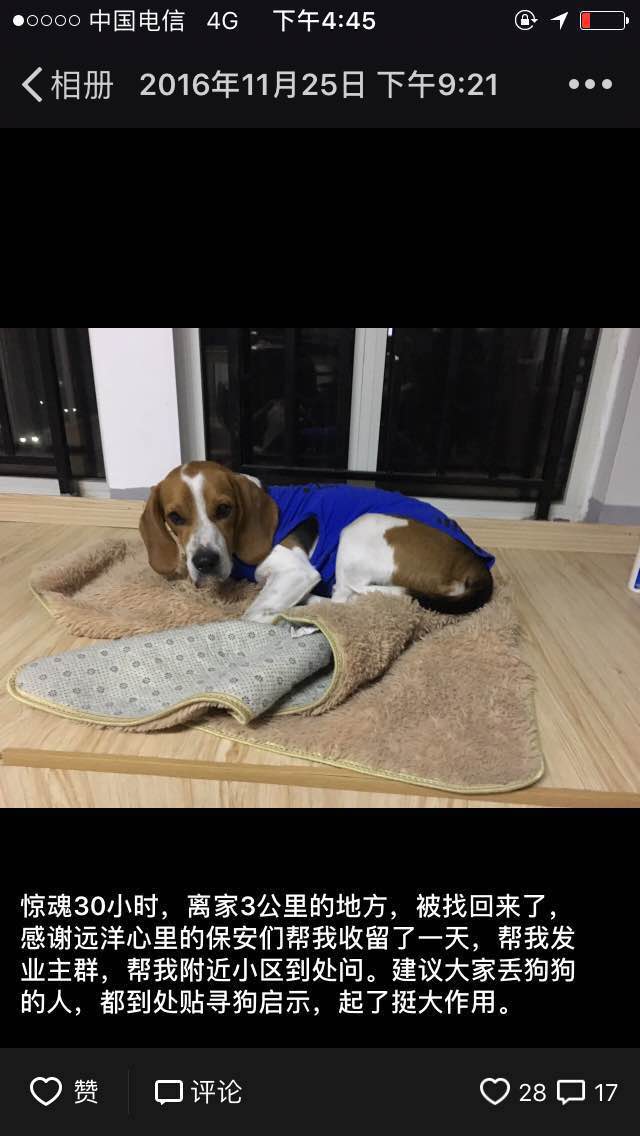 通过小白找狗事件看好物业的重要性