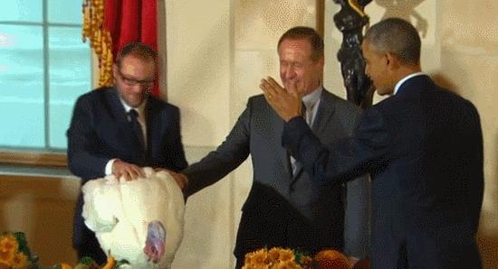 感恩节为什么要吃火鸡,为什么感恩节吃火鸡