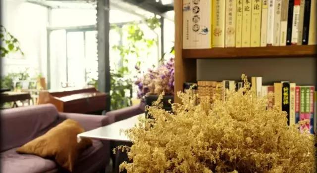 中国背包十年青年旅舍有几家,旅游青年旅舍推荐