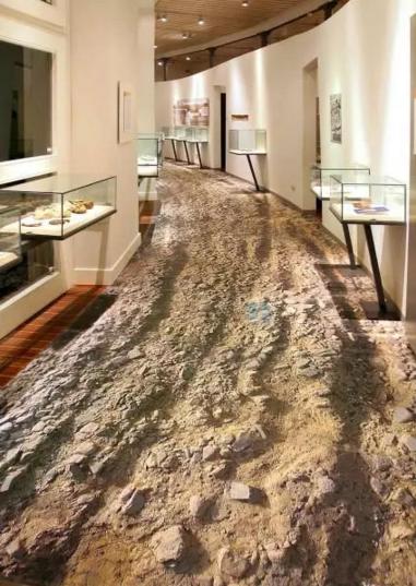 外国网友家的3D地板,炫酷到没有朋友,我们家看看就好!