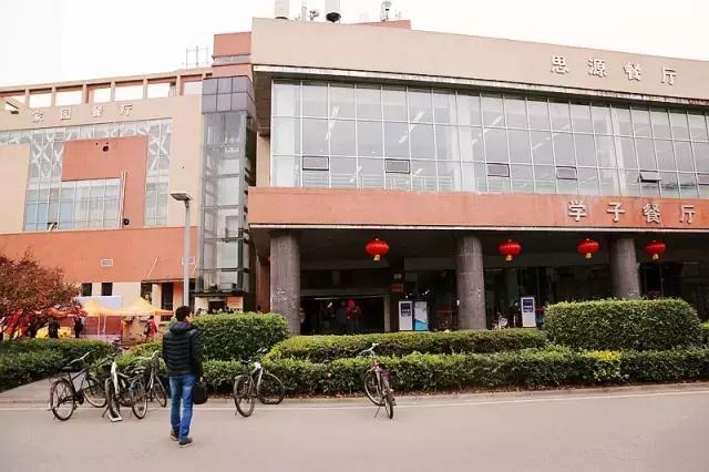 全国十大最美银杏大学,全国最美银杏大学