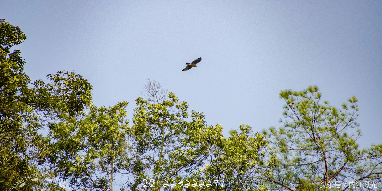 攀越震撼的内江威远高顶寨