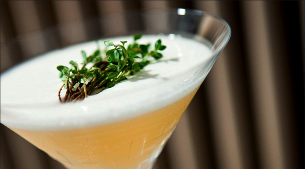 香港兰桂坊最嗨的酒吧,香港兰桂坊酒吧场所视频