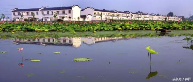 钟祥还能不能去,对不起我要离开了文章