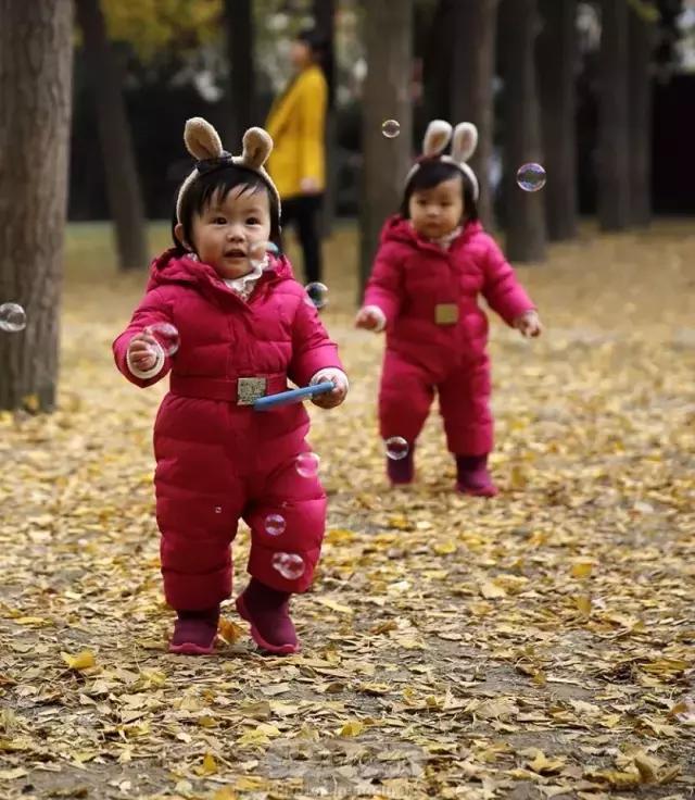 成都最萌的“银杏宝宝”在哪里？快来拿金色大礼！
