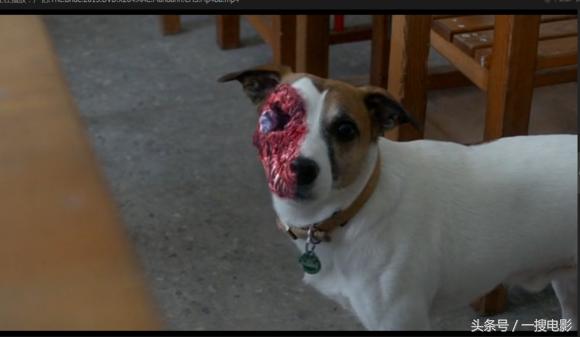 外国恐怖惊悚电影大全免费观看,惊悚恐怖电影驱魔人免费看