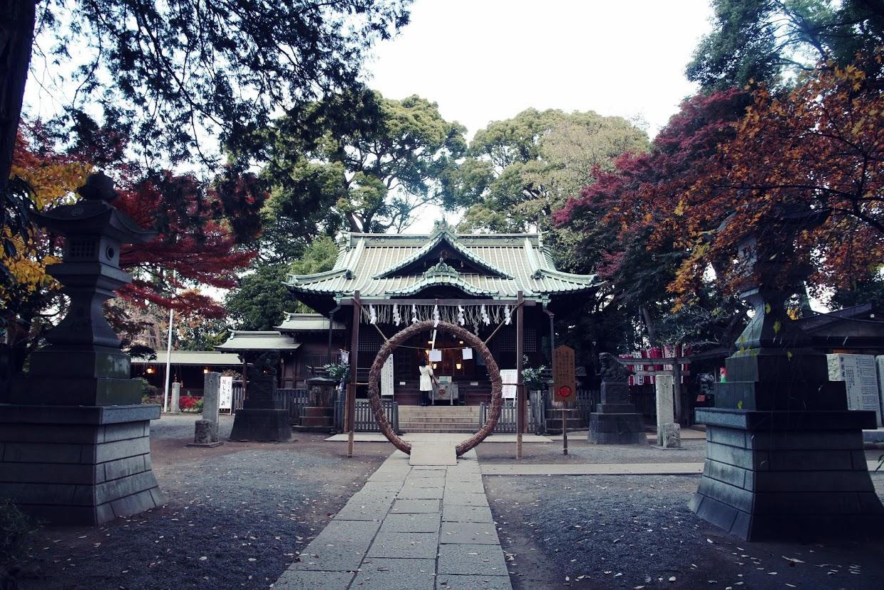 手绘旅行日记岳阳楼,手绘旅行日记图片模板