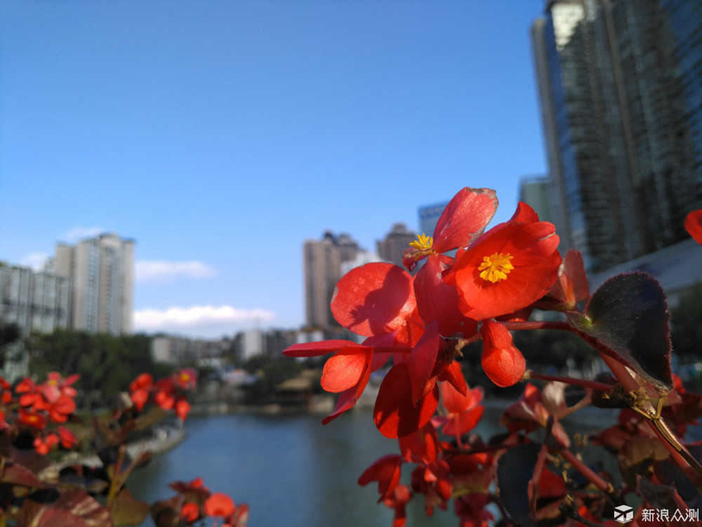 锤子和苹果哪个厉害,锤子能取代苹果吗