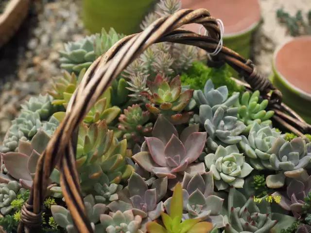 威海荣成海上时光,威海悠闲旅游