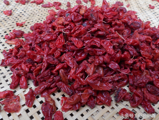 冲击钻三个功能各有什么用,冲击钻作用有哪些