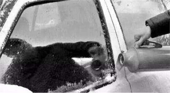 车门被冻住了怎么办？一招办法教给你简单实用