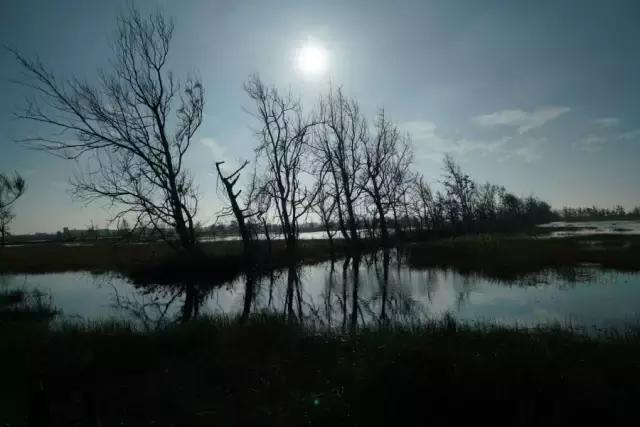 值得一看的国产片,今年值得看的国产片