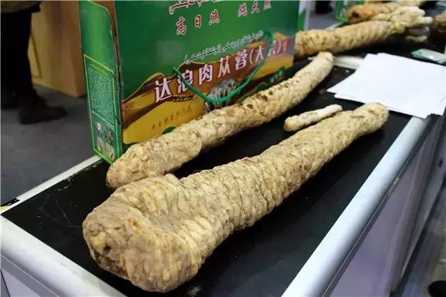 明天别睡懒觉和乌鲁木齐晚报君一起逛且逛且冬博会去