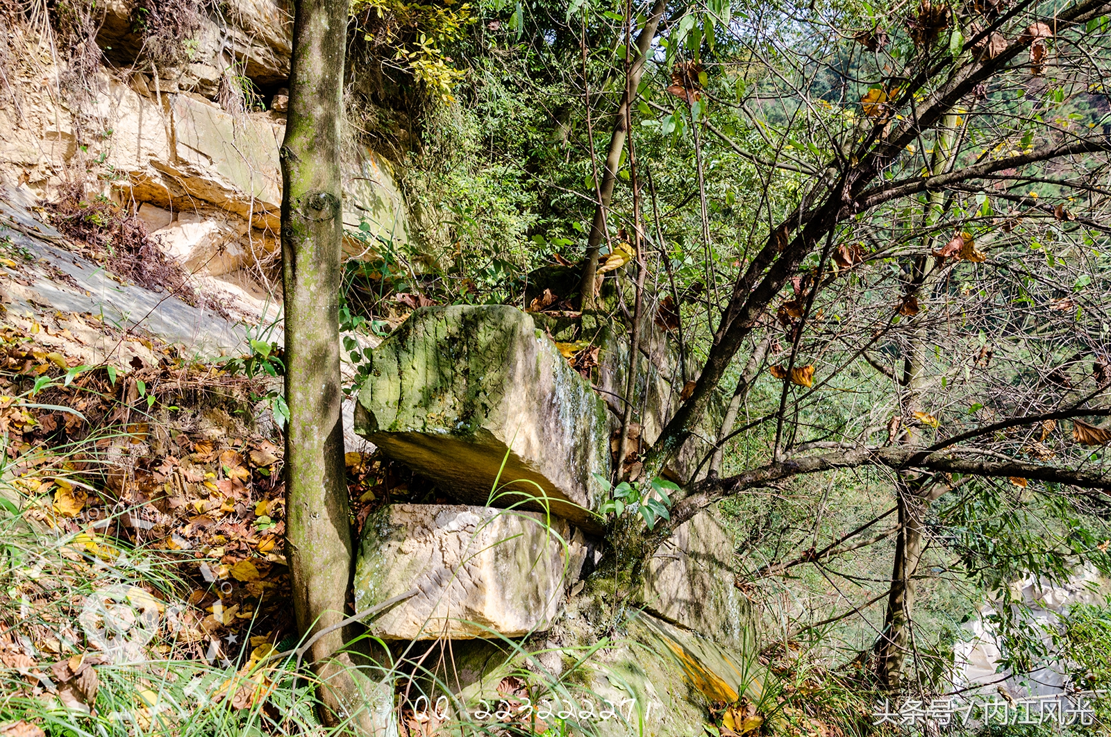 攀越震撼的内江威远高顶寨