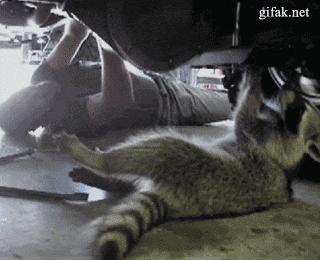 留学在美国,留学美国途经哪些城市