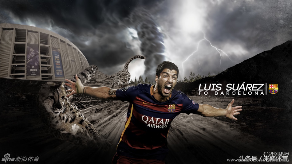 伊布十大中锋,足坛谁能打得过伊布