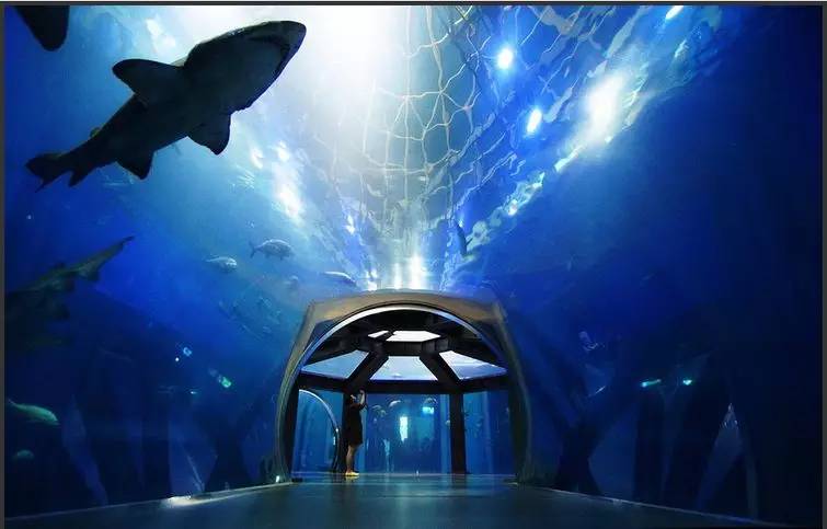 像孩子去游乐园一样开心,像个孩子去旅游