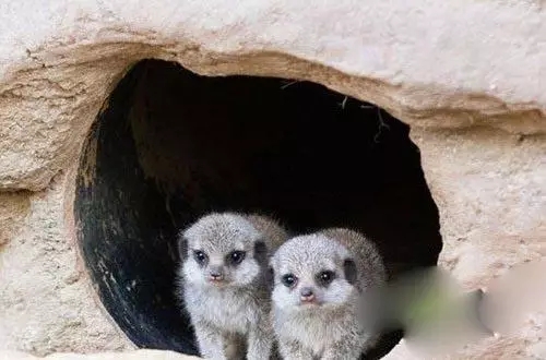 世界上最后的未解谜团,世界上最大的十大未解谜团