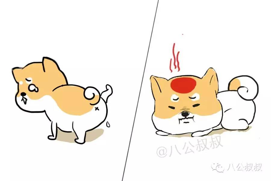 涨姿势植物科普,涨姿势前驱后驱