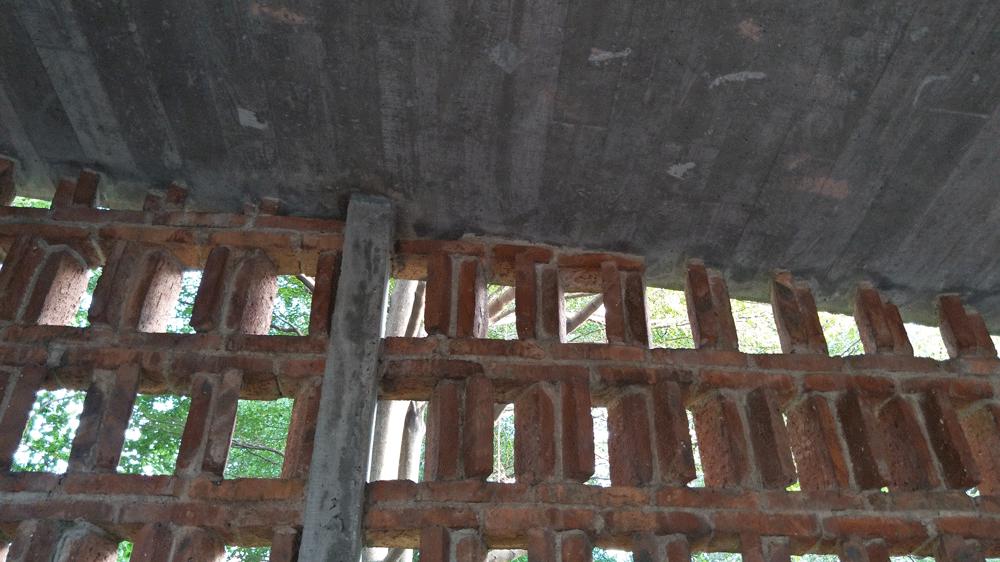 拍照体验好的手机,opporeno7pro拍照评测