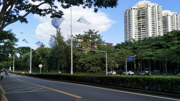 拍照体验好的手机,opporeno7pro拍照评测