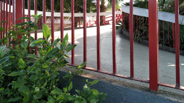 拍照体验好的手机,opporeno7pro拍照评测