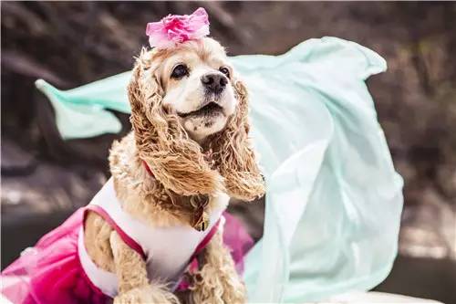 活动回顾｜欧帝亿主题巴士回顾--畅游幽谷神潭