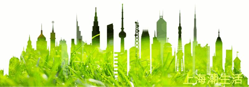 上海落叶不扫景观道,上海秋天不扫落叶的街道