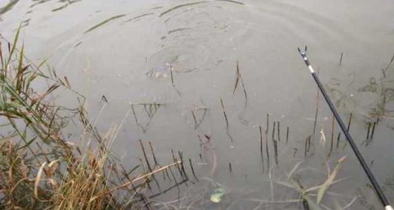 钓鱼人太牛！大风大雨中垂钓也能迎来鲤鲫大丰收