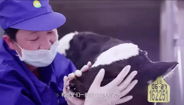 别人眼中剪辑师都是干嘛的,朋友眼中的剪辑师