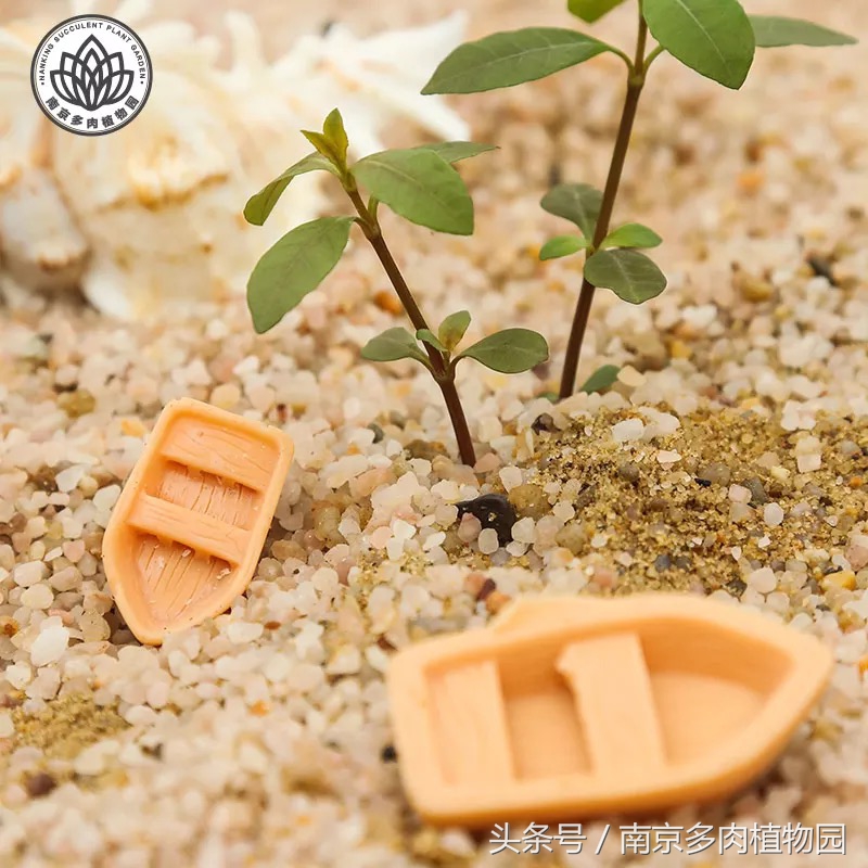 乐高积木成人款植物多肉,小玩具乐高