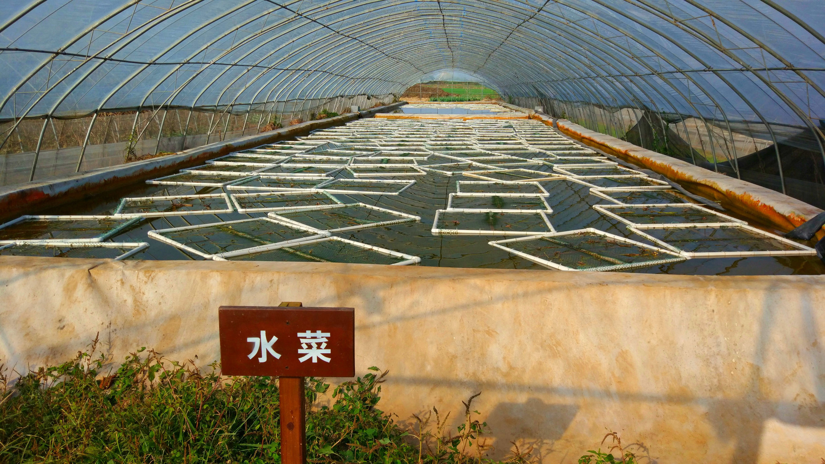 青州赤涧村数字乡村建设心得体会,青州弥河赤涧村