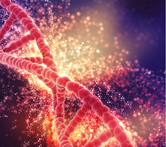 长高的原理及道理,长高生长素是真的吗