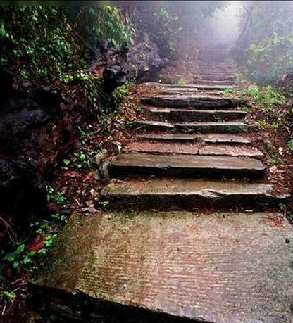 藏在深山无人识,石台县原始森林